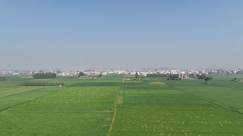 Rajpura — local market for B2B and wholesale portals