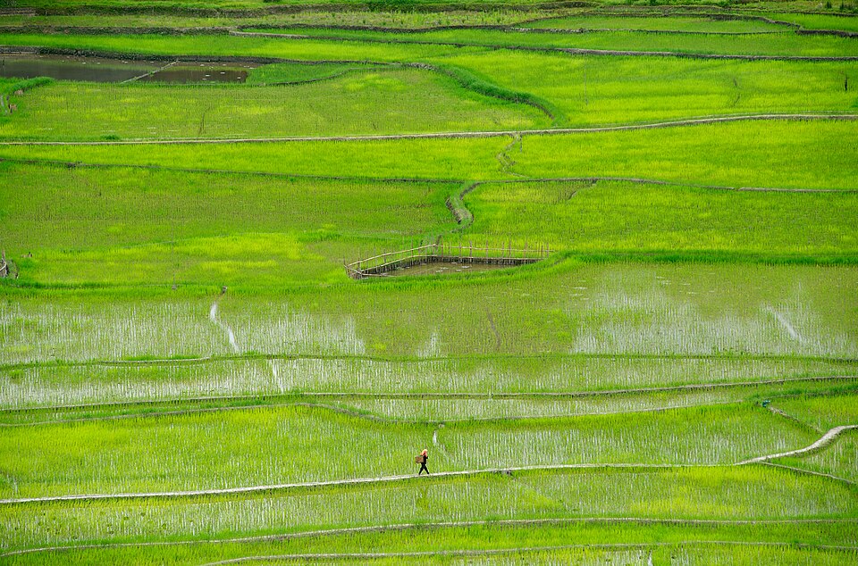 Ziro — local market for B2B and wholesale portals