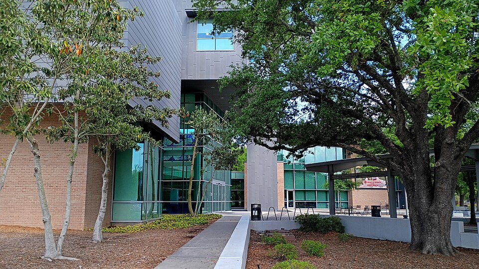 Baton Rouge — custom e-commerce platforms for local businesses