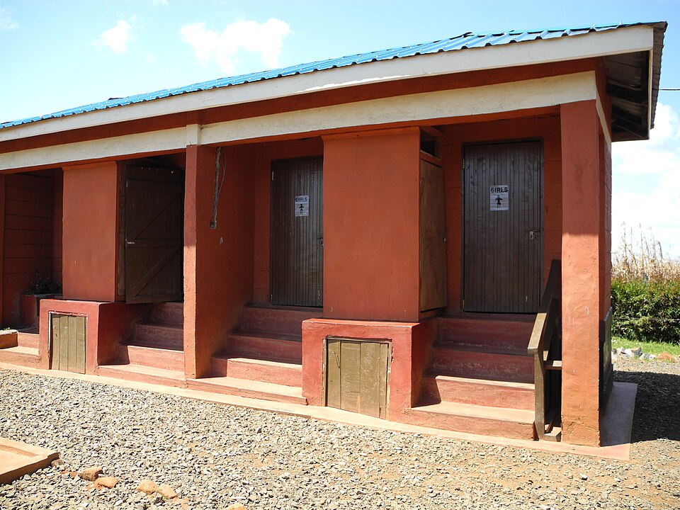 Eldoret — local market for custom e-commerce platforms