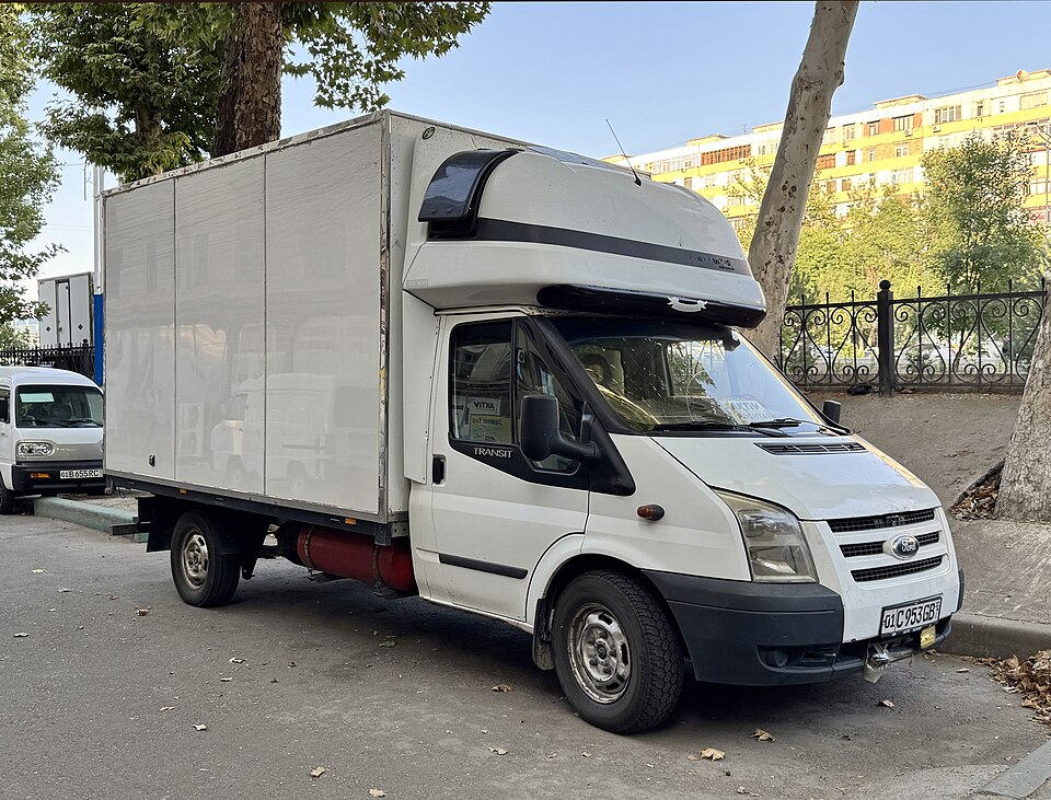 Tashkent — international and multi-region stores for local businesses