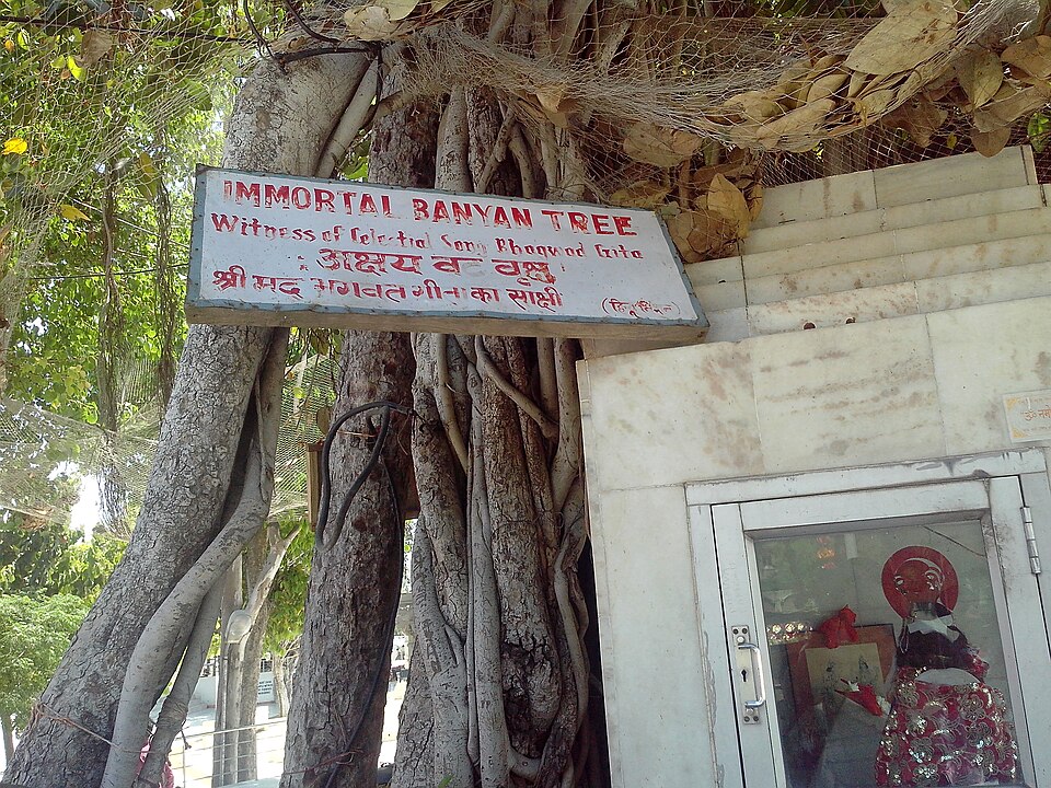 Kurukshetra — local market for manufacturer and distributor portals