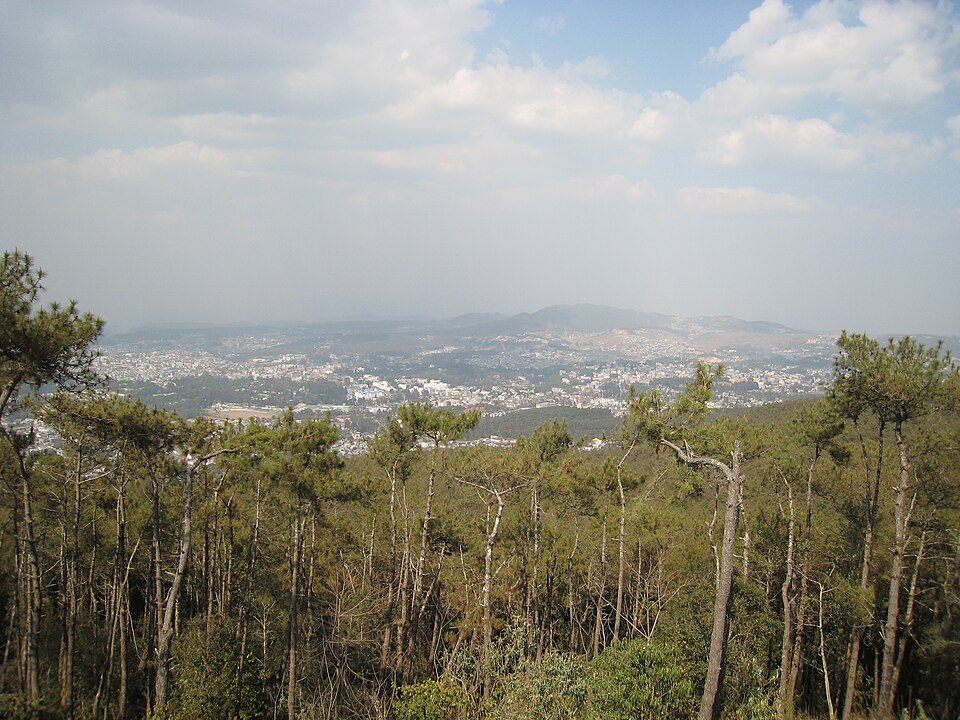 Shillong — service booking platforms for local businesses