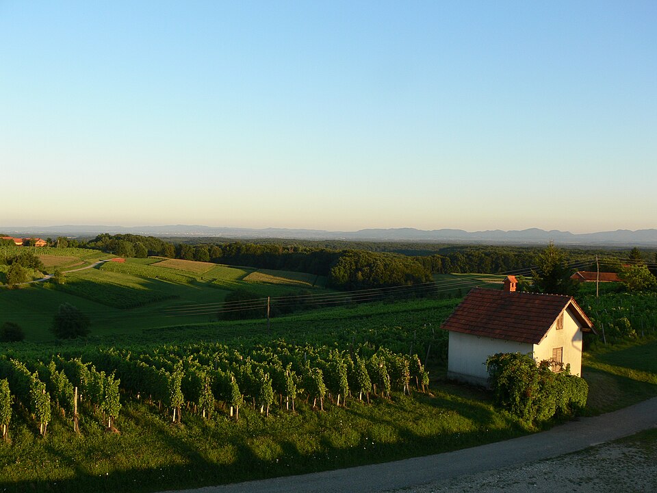 Slovenia — manufacturer and distributor portals for local businesses