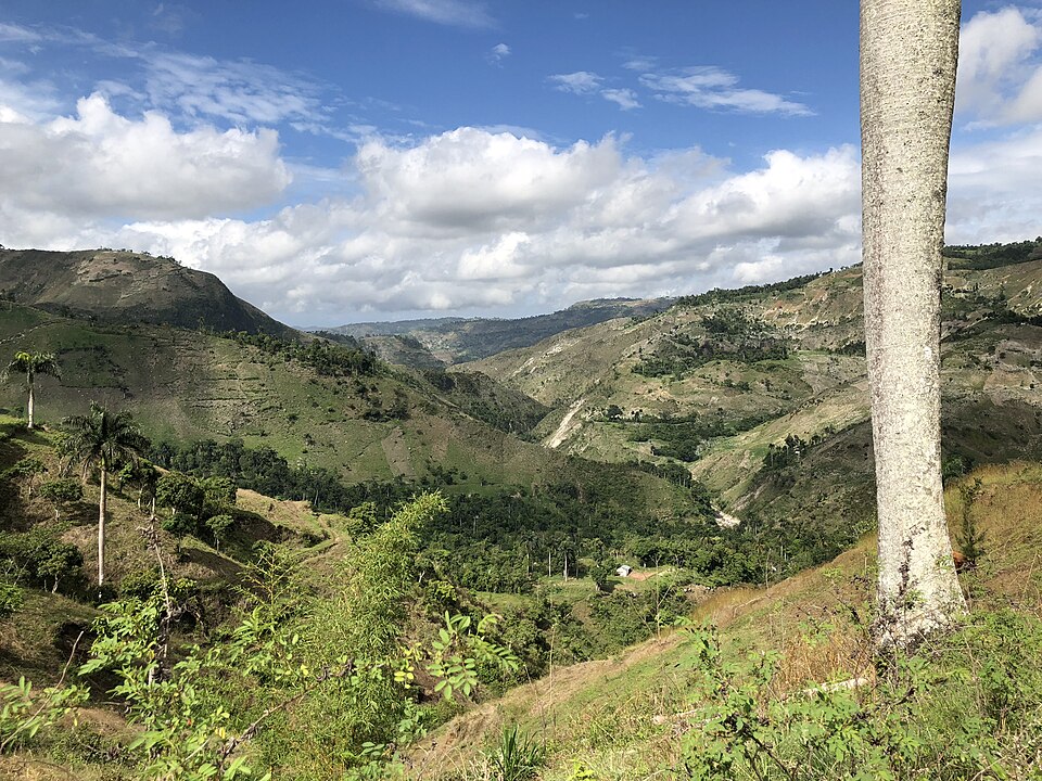 Haiti — local market for service booking platforms