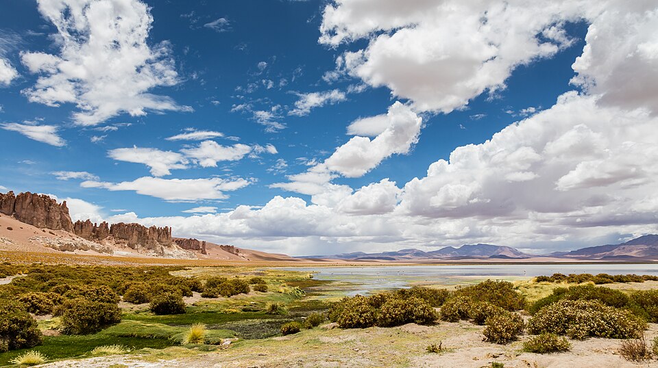 Chile — local market for online stores