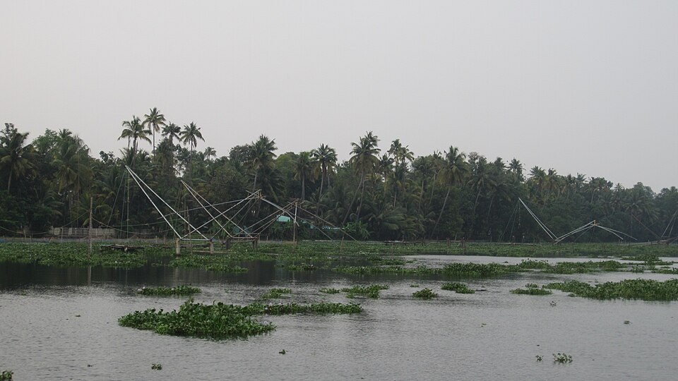 Alappuzha — mobile commerce apps for local businesses