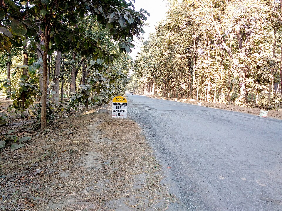 Champawat — local market for international and multi-region stores