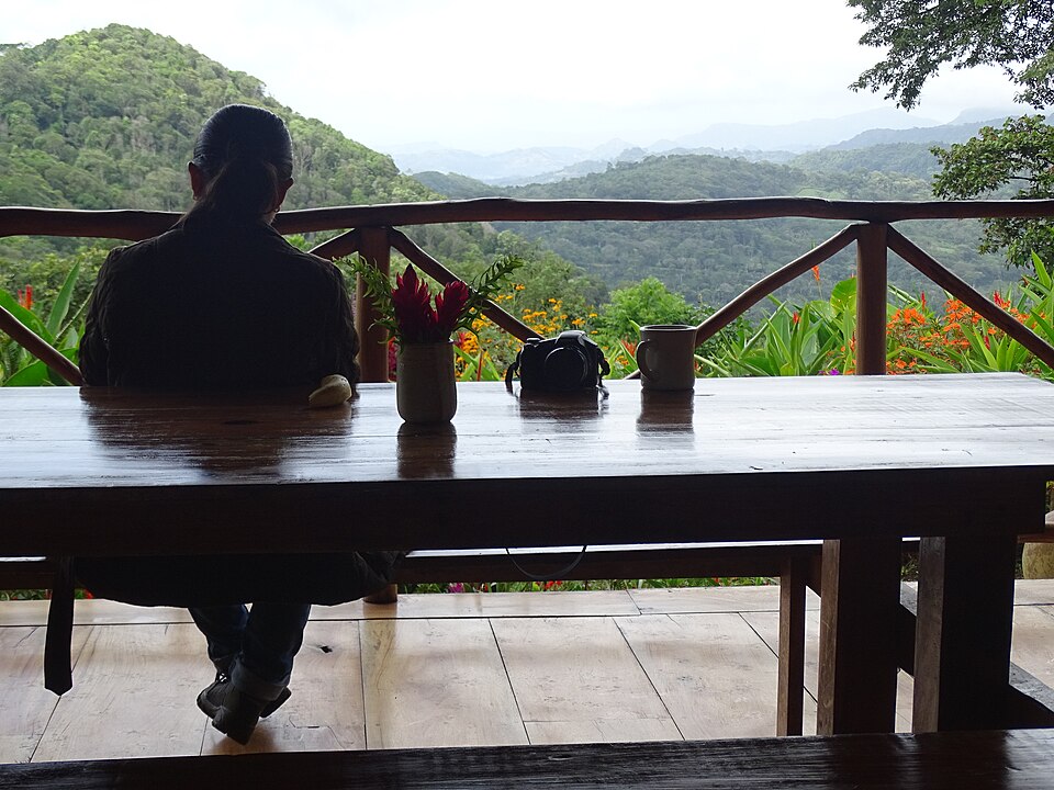 Nicaragua — local market for service booking platforms