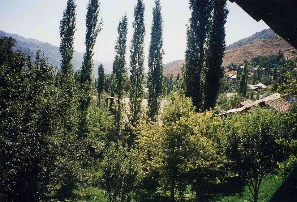 Tajikistan — local market for multi-vendor marketplaces