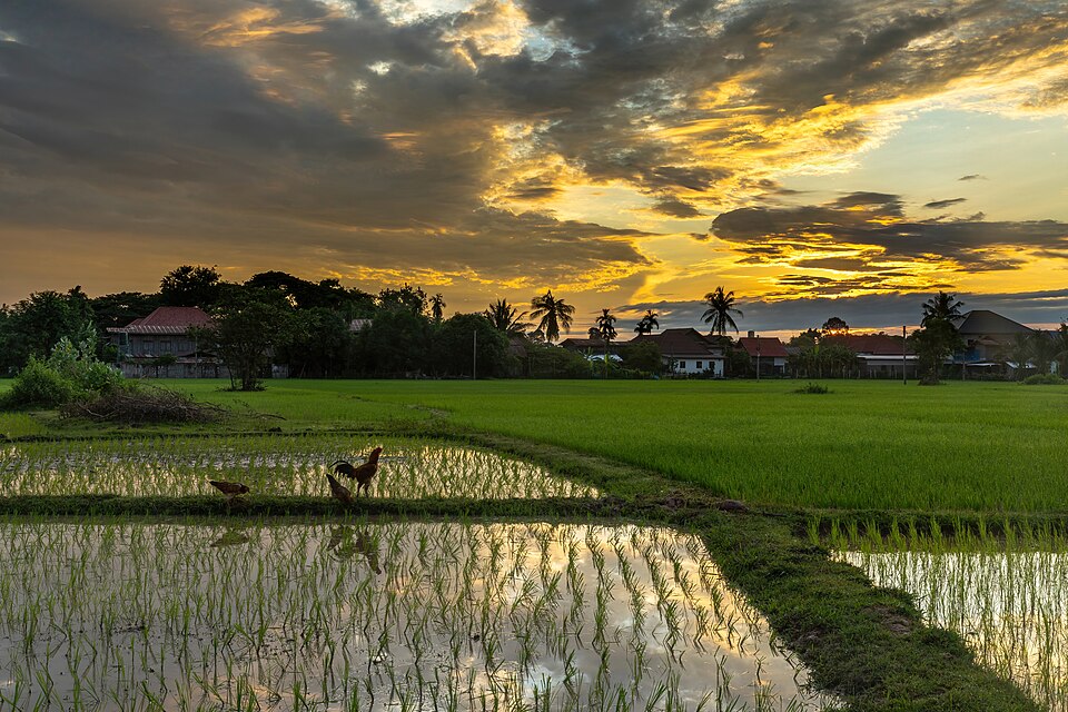 Laos — mobile commerce apps for local businesses