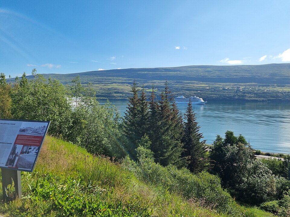 Akureyri — local market for multi-vendor marketplaces