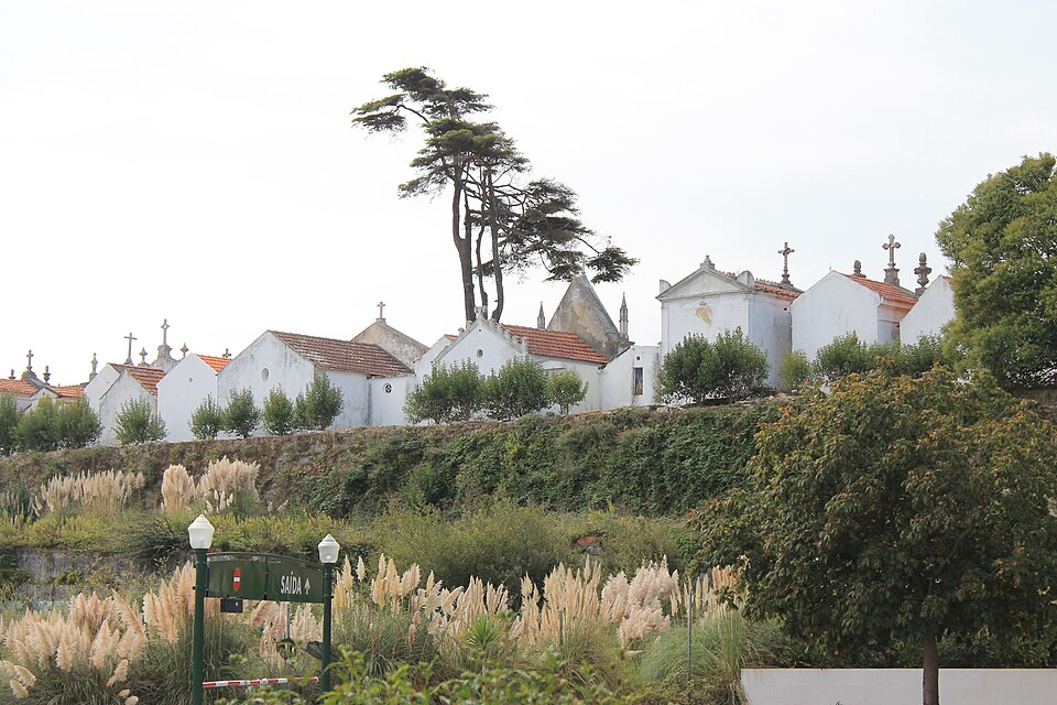 Aveiro — manufacturer and distributor portals for local businesses