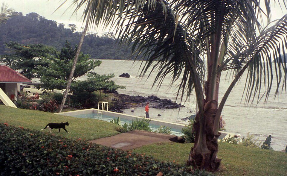 Limbe — local market for manufacturer and distributor portals