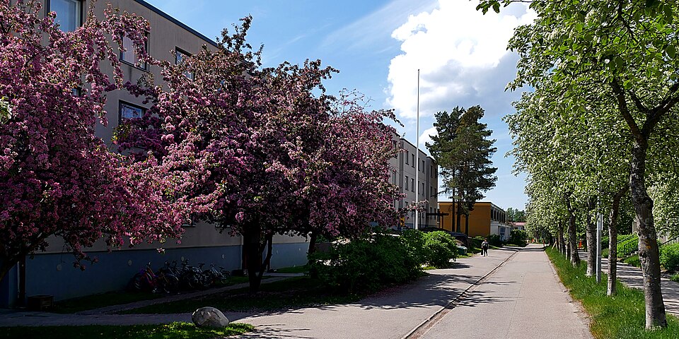 Espoo — service booking platforms for local businesses