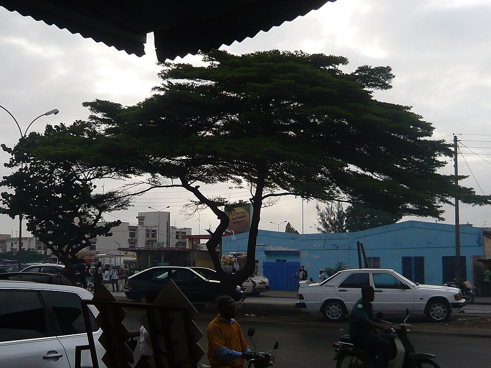 Benin — manufacturer and distributor portals for local businesses