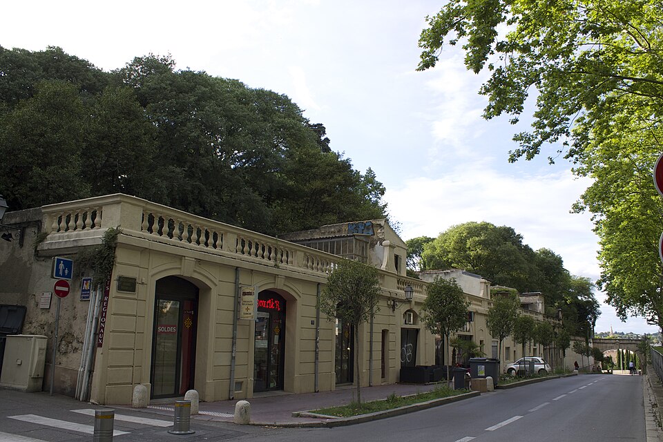 Montpellier — local market for subscription and membership platforms