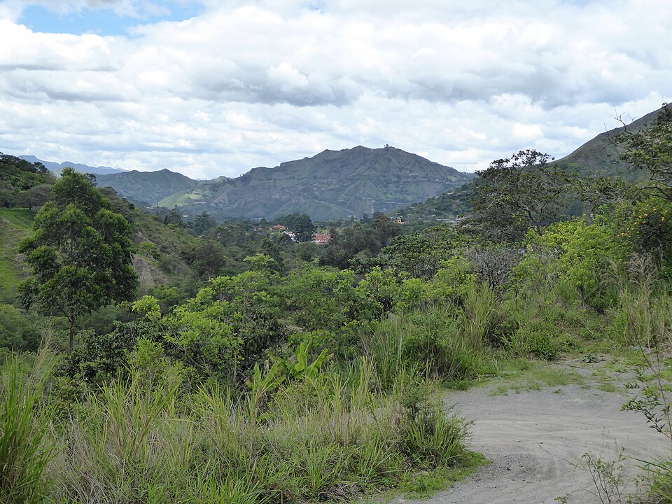 Ecuador — local market for custom e-commerce platforms