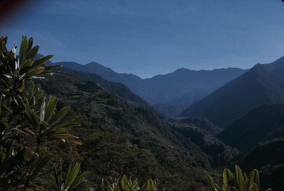 Papua New Guinea — subscription and membership platforms for local businesses