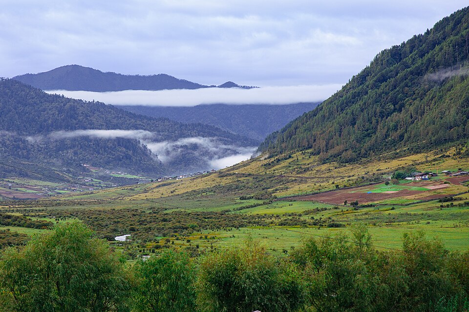 Bhutan — local market for multi-vendor marketplaces