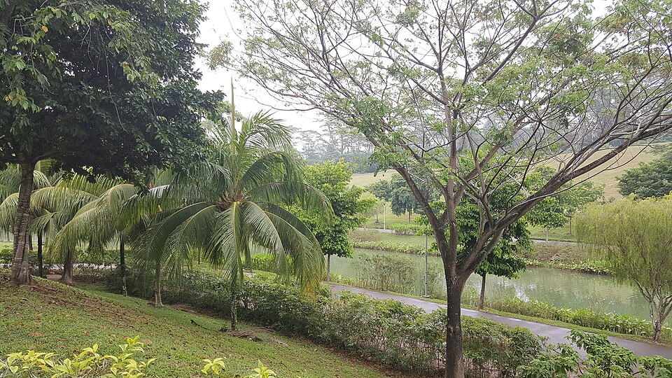 Punggol — subscription and membership platforms for local businesses