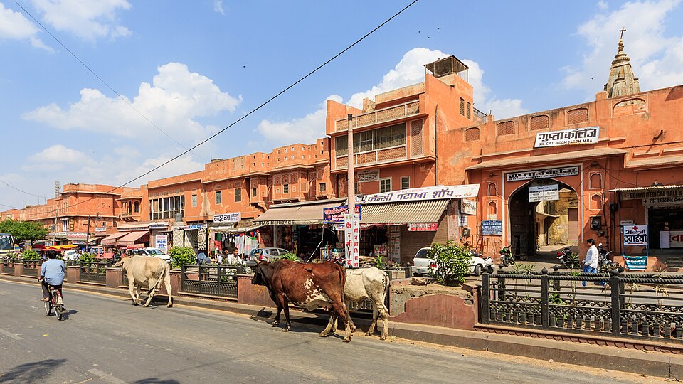 Jaipur — local market for custom e-commerce platforms