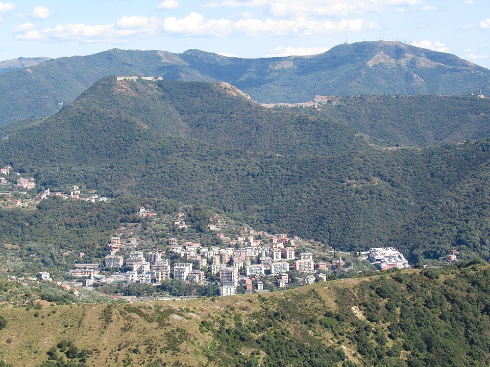 Genoa — international and multi-region stores for local businesses