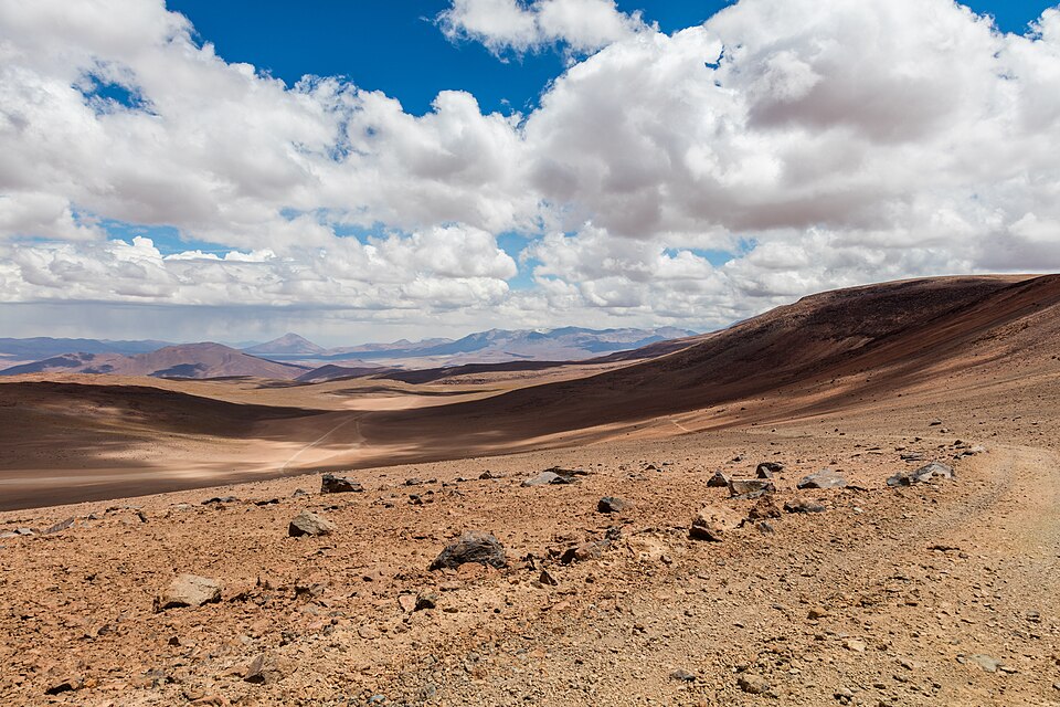 Chile — online stores for local businesses
