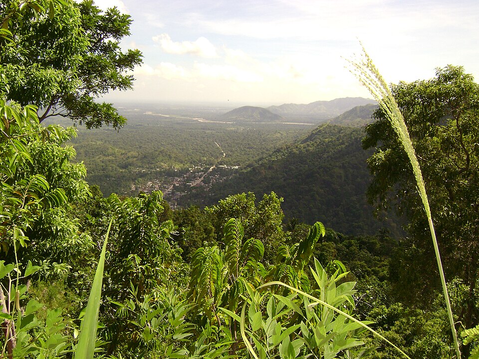 Haiti — local market for subscription and membership platforms