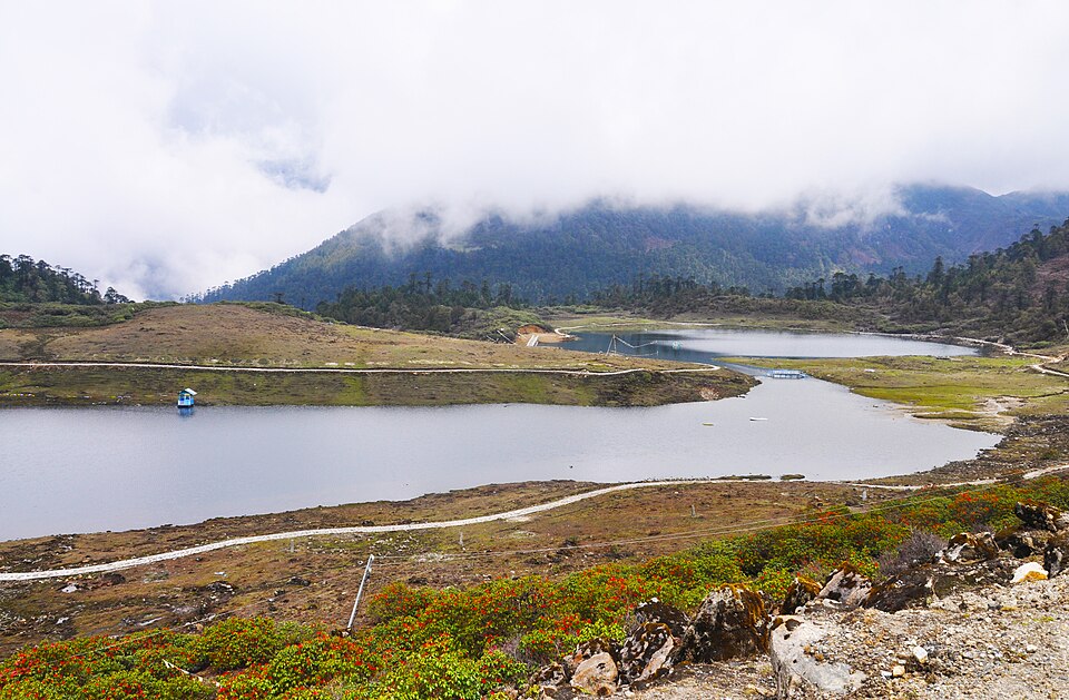 Tawang — local market for mobile commerce apps