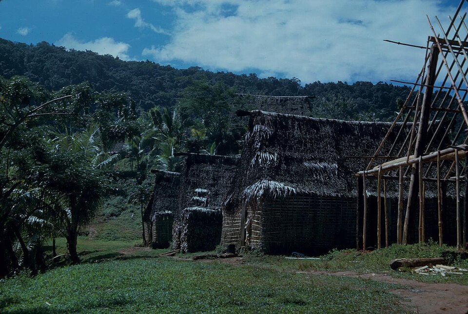 Fiji — international and multi-region stores for local businesses