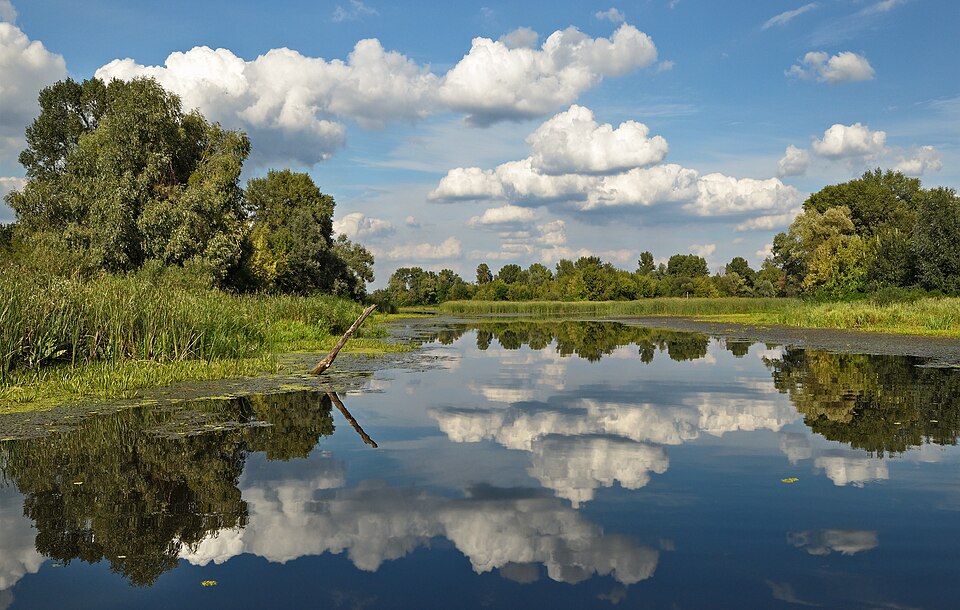 Dnipro — local market for B2B and wholesale portals