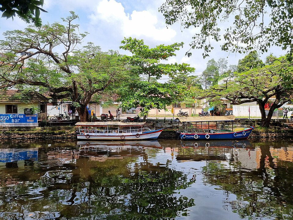 Alappuzha — custom e-commerce platforms for local businesses