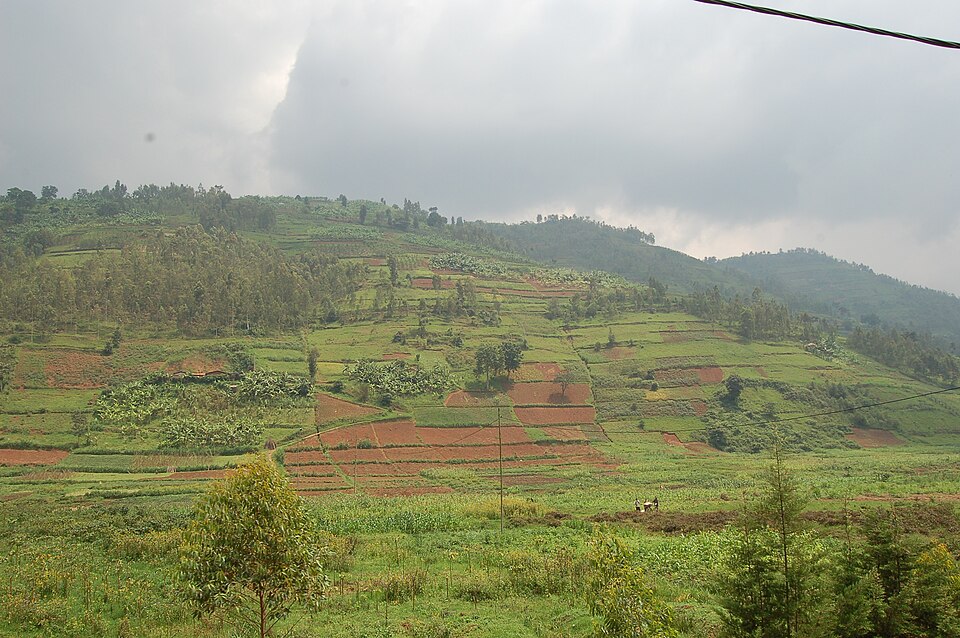 Rwanda — local market for custom e-commerce platforms