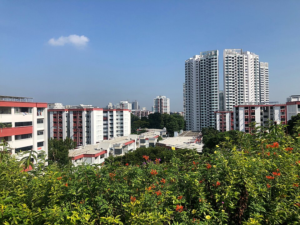 Woodlands — local market for service booking platforms