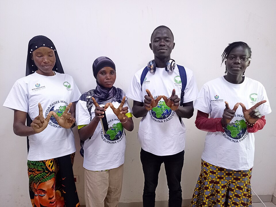 Burkina Faso — local market for mobile commerce apps