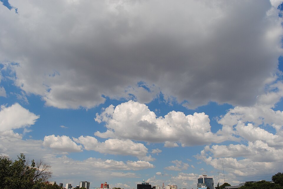Mexico — mobile commerce apps for local businesses