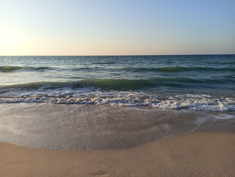 Ajman — multi-vendor marketplaces for local businesses