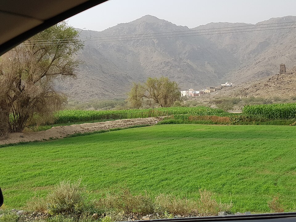 Al Baha — local market for multi-vendor marketplaces