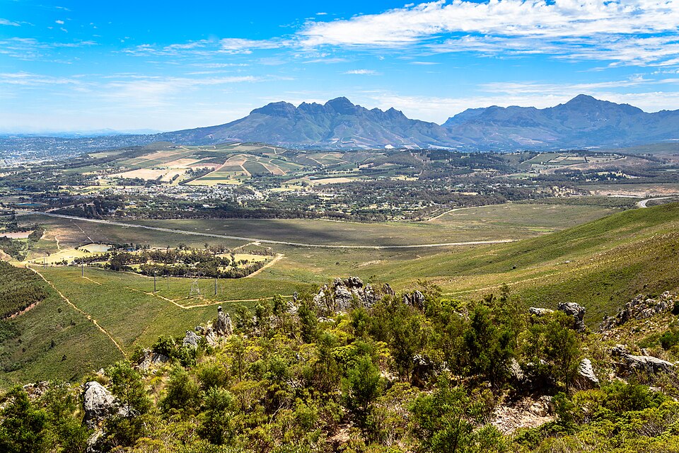 Stellenbosch — local market for custom e-commerce platforms