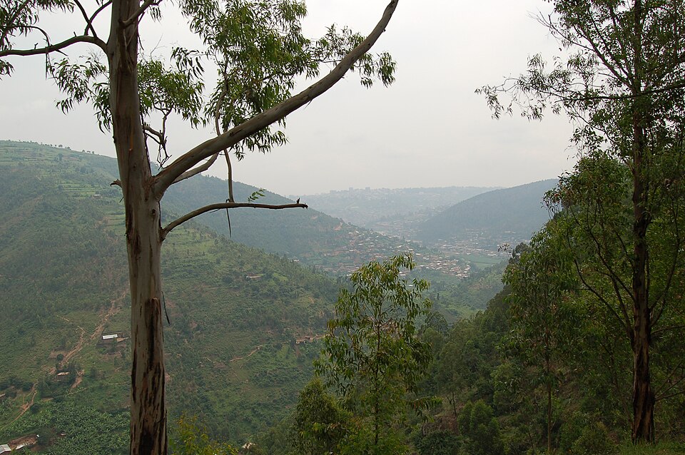Rwanda — local market for B2B and wholesale portals