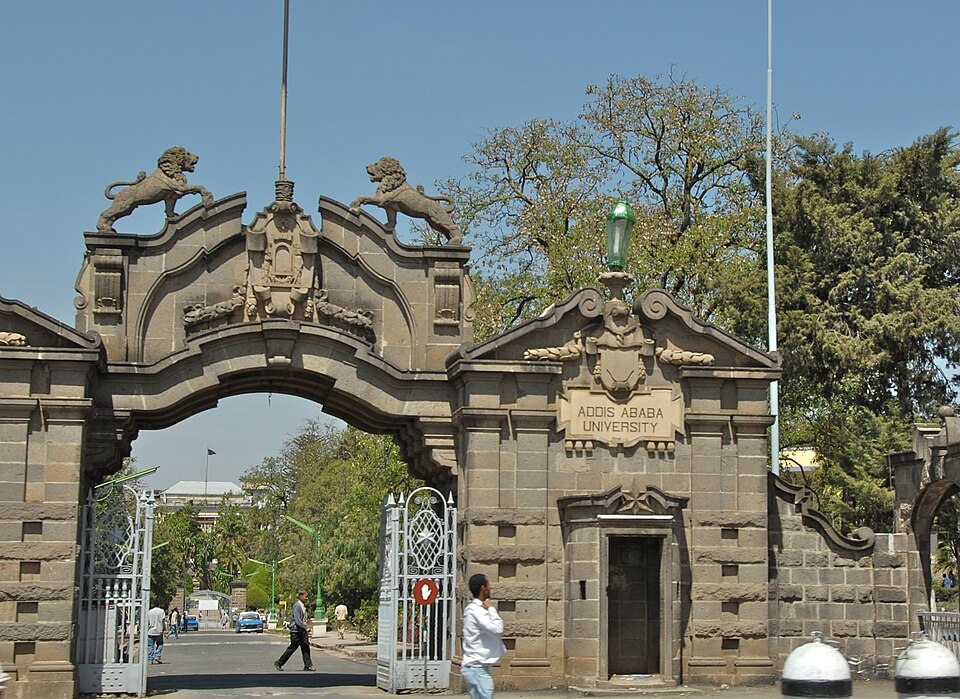 Addis Ababa — B2B and wholesale portals for local businesses