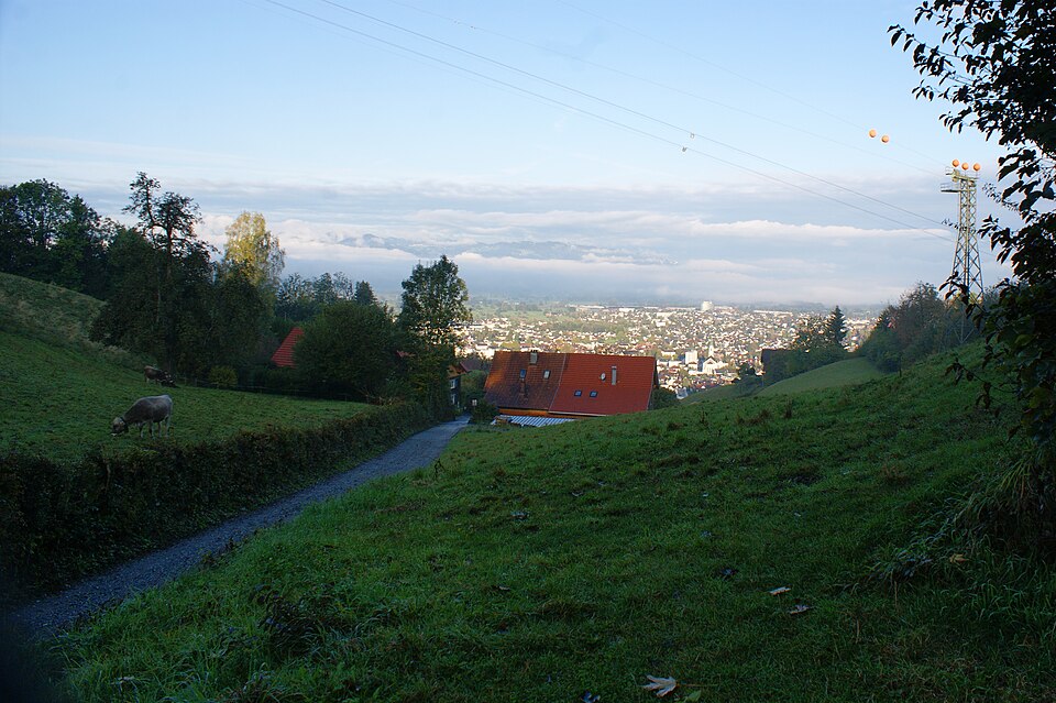 Dornbirn — B2B and wholesale portals for local businesses