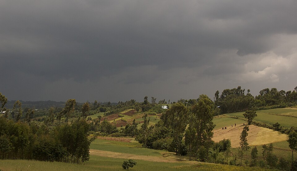 Ethiopia — service booking platforms for local businesses
