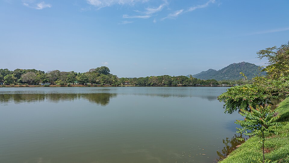 Kurunegala — online stores for local businesses