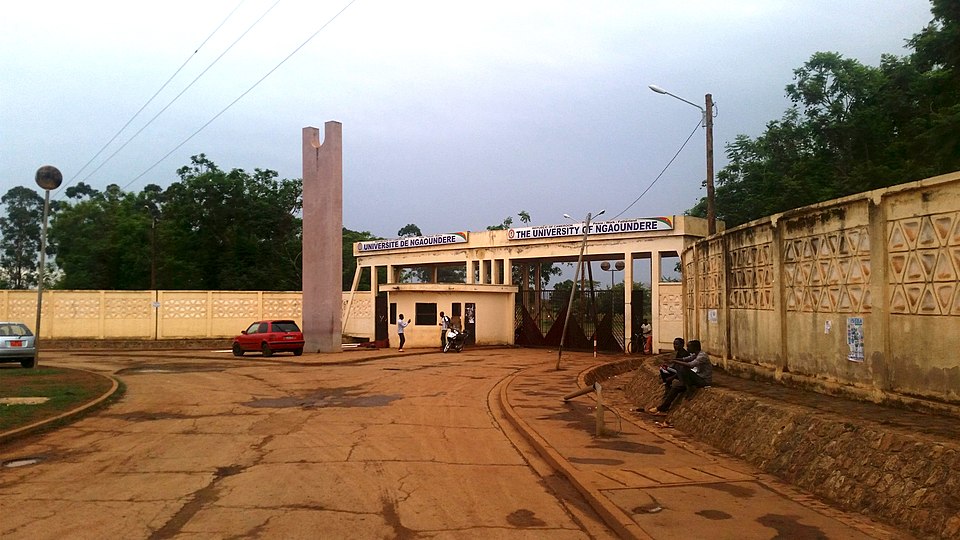 Ngaoundéré — local market for B2B and wholesale portals
