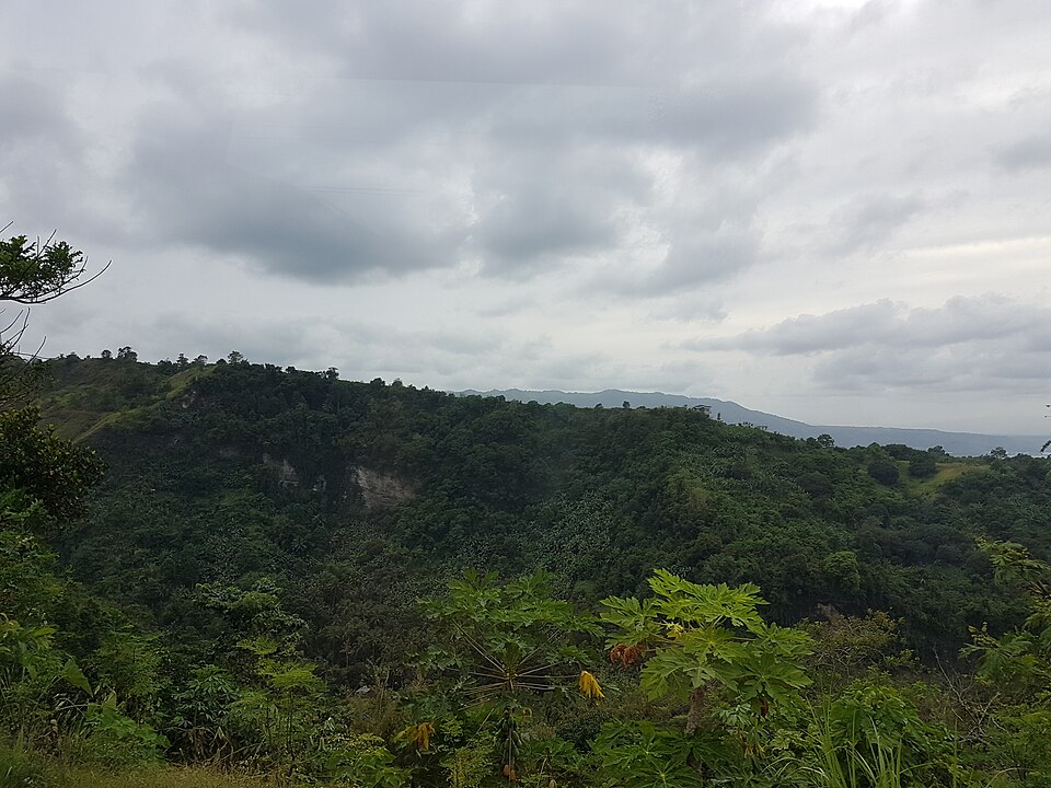 Cagayan de Oro — multi-vendor marketplaces for local businesses