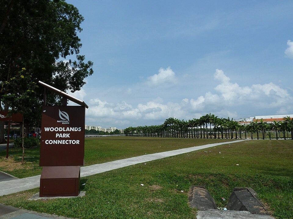 Woodlands — service booking platforms for local businesses