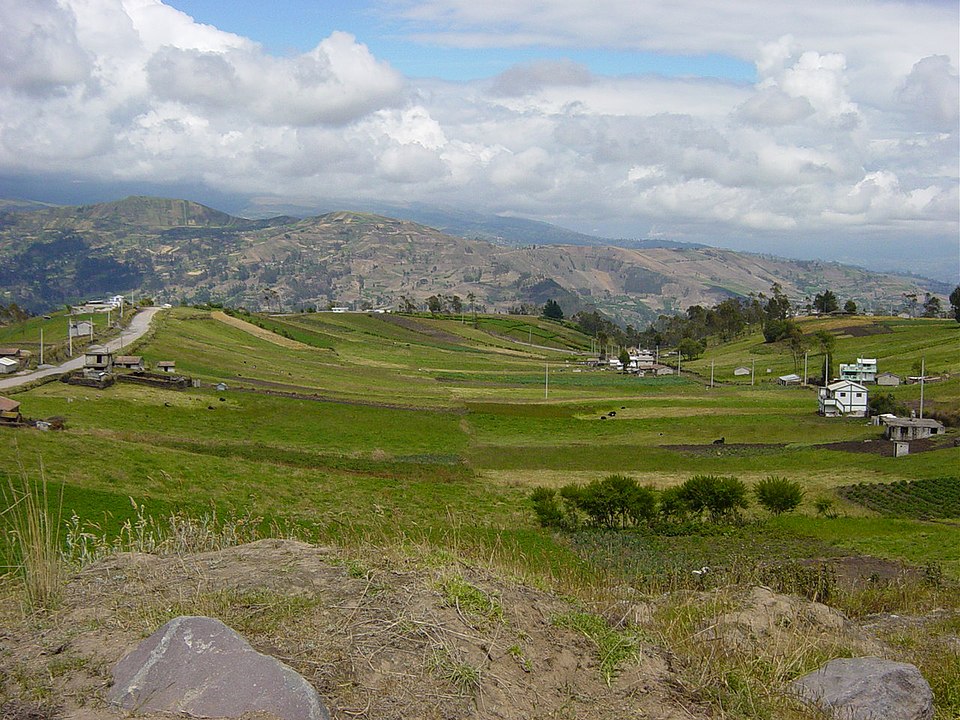 Ecuador — local market for service booking platforms