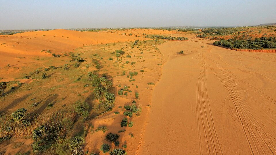 Niger — local market for multi-vendor marketplaces